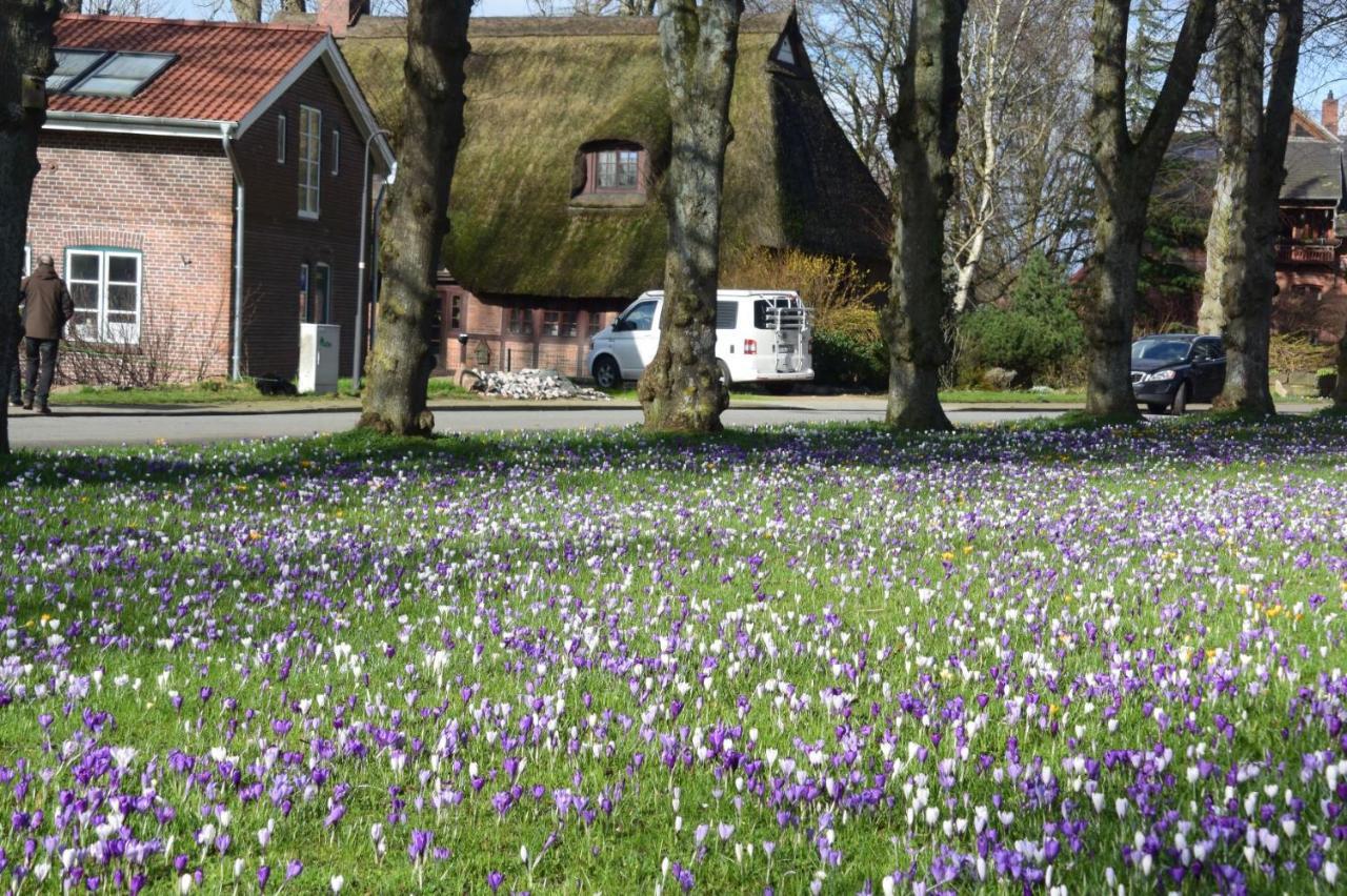Apartmán Vittebrook Barsbek Exteriér fotografie